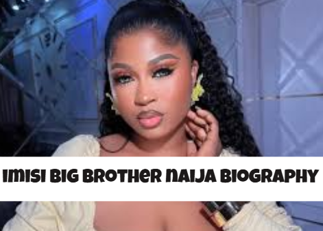 imisi big brother naija biography