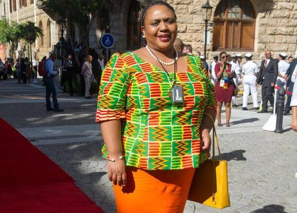 Thoko Didiza Biography